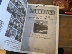 I SURVIVED Books Series LOT OF 11 Early Chapter Ages 7-10 – Lauren Tarshis
