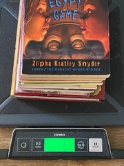 BOYS Chapter Books Lot of 11 ~ 8-12 Years Old – Classroom Library Homeschool