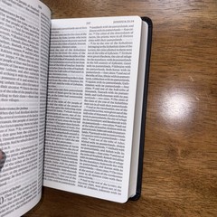 ESV Large Print Value Thinline Bible (Trutone, Black) by Esv Bibles: New