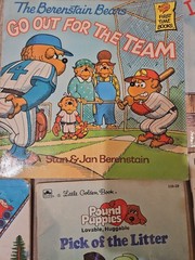 1980s Kids Book Lot Berenstain Bears Transformers Wuzzles Pound Puppies Snoopy
