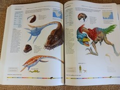 dinosaurs and other prehistoric animals by amber