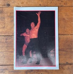 Pro Wrestling Album Set of 4 Featuring Backlund, Slaughter, Dusty Rhodes