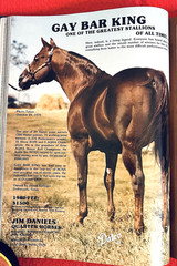1979 Quarter Horse Journal, Book, STALLION EDITION! – KIDNAP BAR – ZAN PARR BAR