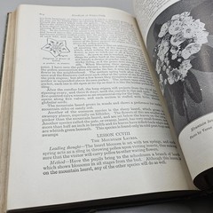 Handbook Of Nature-Study By Anna Comstock 1911 Published 1923