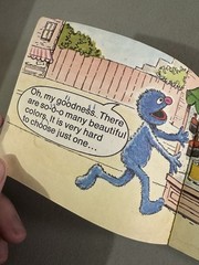Grover’s Favorite Color Sesame Street Book 1977 1st Ed CTW Vintage Muppet