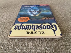 VG-/G+ Thin Edition 1st print Goosebumps #56 The Curse of Camp Cold Lake ~ Stine