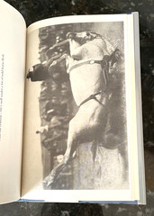 Flint Spears: Cowboy Rodeo Contestant by Will James (Hardcover, 2002)