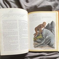 Man After Man:An Anthropology of The Future by Dougal Dixon(First Print) Hardcov