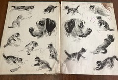 MAJOR AND THE KITTEN Helen Hoke Pictures Diana Thorne hardcover 1941 32 pages