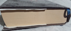 The Night Circus a Novel