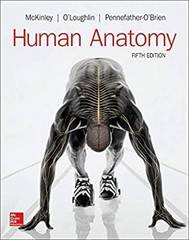 LooseLeaf for Human Anatomy Ringbound