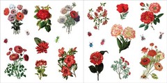 Bunches of Botanicals Sticker Book (Over 500 stickers!) – NEW