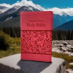 King James Version Holy Bible Imitation Leather Small Print in English