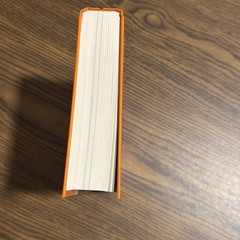 The Rest is History Returns , Holland & Sandbrook, 1st edition,1st imp. NEW