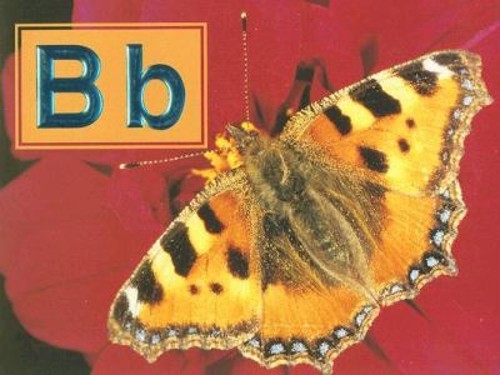 Bb Paperback