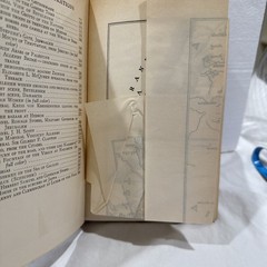 The New Palestine W.D McCrackan 1922 Antique Hardback First Edition