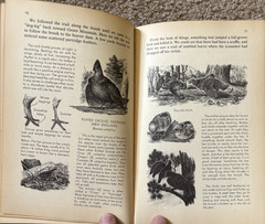 VTG Nature Notebook Robert Candy 1953 HC