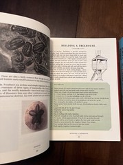 Book Lot- “The Daring Book For Girls” & The Dangerous Book for Boys” HC, illustr