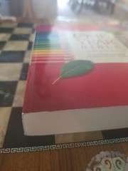 The One Year Bible Reflections (Softcover) by Tyndale NLT
