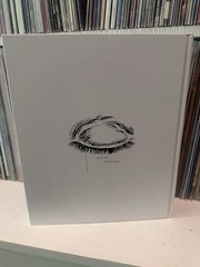 Raymond Pettibon Large HardBound Slipcase Book Rizzoli And Regen Projects