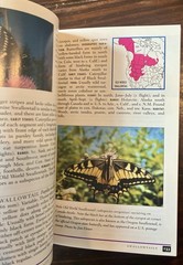 Field Guide to Western Butterflies by Paul A. Opler (1999, Trade Paperback)