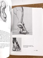 VTG 1990 Dynamic Anatomy SC Burne Hogarth Measurements Proportions Anatomical