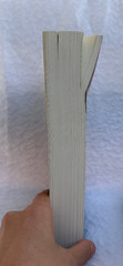 The Familiar Vol 1, Only Revolutions, Mark Z. Danielewski House of Leaves books