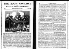 881 BOOKS – Penny Magazine – Periodical Victorian Literature Engravings – USB FD