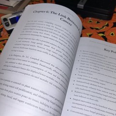 Workbook: Self-Heal by Design: an Interactive Guide to Barbara O’Neill’S Book