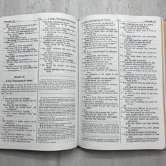 New American Bible Saint Joseph Edition 611/10B – Catholic