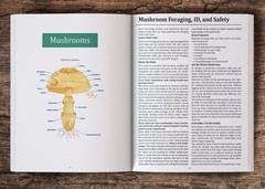 The Forager’s Guide to Wild Foods (paperback with color pictures)