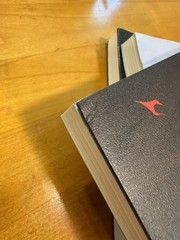 Remnants of Filth / Yu Wu Vol. 2 Chinese Novel + Book Bonuses