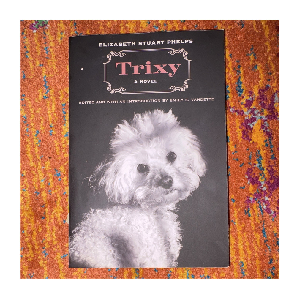Trixy Novel by Elizabeth Stuart Phelps PB Duke Univ Press 1904 Women’s Rights