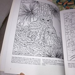 Dover Vintage Coloring Books Lot of 9 Assorted Educational 1981-2002 Unused