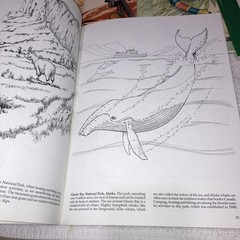 Dover Vintage Coloring Books Lot of 9 Assorted Educational 1981-2002 Unused