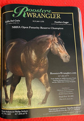 SALE ENDS 6/15! 2008 Quarter Horse Journal STALLION EDITION Book, PEPTOBOONSMAL