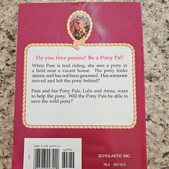 Lot of 3 PONY PALS Chapter Books by Jeanne Betancourt – Scholastic RL3 – HORSES