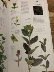Vintage Gardening Book: Growing Herbs w/ Pull-Out Herb Chart 1995 By Deni Bown