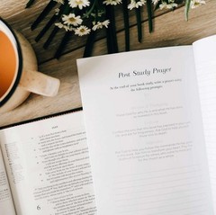 The Daily Grace Co Book by Book Bible Study