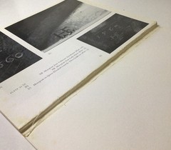 Hans Eworth A Tudor Artist And His Circle 1965 1966 Art Gallery Catalogue PB