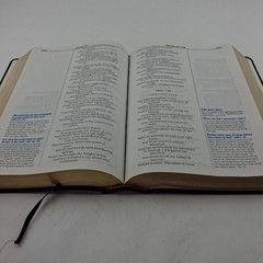The Quest Study Bible New International Version Bonded Leather Large Print