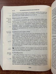 BIBLIA DE JERUSALEN.CATOLICA EN LETRA GRANDE REVISADA Y AUMENTADA CON INDICE