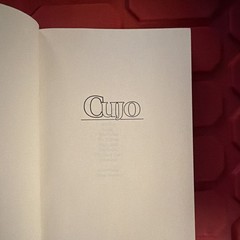Stephen King Cujo First Edition Hardcover Dust Jacket The Viking Press 1981