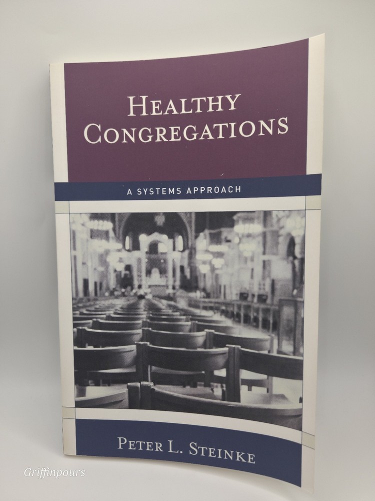 Peter L. Steinke Healthy Congregations (Paperback) (UK IMPORT)