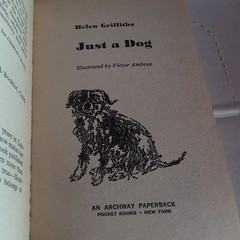 Lot of 4 Vintage Animal Chapter Books / Short Stories -The Yearling – Just a Dog
