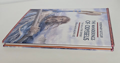 The Wanderings of Odysseus: THE STORY OF THE ODYSSEY Hardcover DUST JACKET 1996
