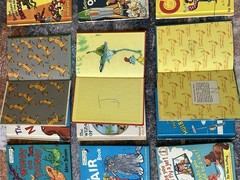 Dr Seuss Beginner Books lot 18 Classic Hardcover Bright And Early Berenstain OZ