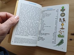 A Golden Guide: Mushrooms And Other Non-Flowering Plants Full-Color RARE EDITION