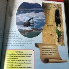 Who’s Who And Where’s Where In The Bible For Kids By Stephen M. Miller
