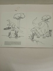Vintage The Dinosaur Coloring Book by Anthony Rao Dover Publishing 46 Pgs 1980.